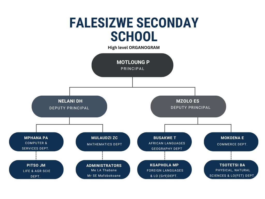 blue modern organization structure flowchart graph (1)